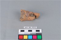 藏品(陶鼎足)的圖片