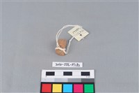 藏品(陶把)的圖片