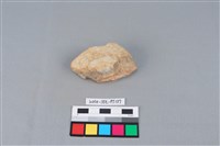 藏品(陶蓋鈕)的圖片