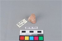 藏品(陶蓋鈕)的圖片