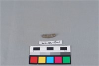 藏品(陶環)的圖片