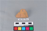 藏品(陶片)的圖片
