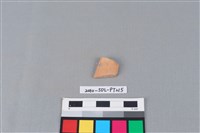 藏品(陶片)的圖片