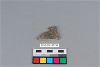 藏品(陶片)的圖片