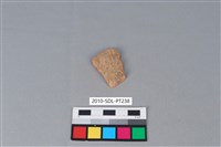 藏品(陶片)的圖片