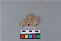 藏品(陶片)的圖片