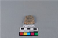 藏品(陶片)的圖片