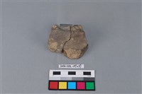 藏品(陶片)的圖片