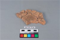 藏品(連杯形器)的圖片