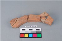 藏品(連杯形器)的圖片