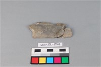 藏品(石刀)的圖片