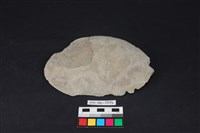 藏品(石片器)的圖片