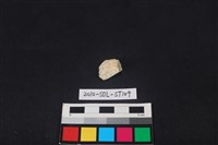 藏品(錛鑿形器)的圖片