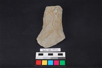 藏品(斧鋤形器)的圖片