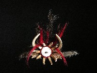 藏品(帽飾)的圖片