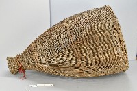 藏品(鱸鰻魚筌)的圖片