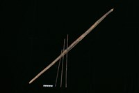 藏品(弓)的圖片