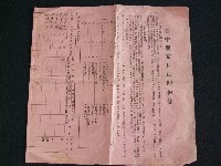 藏品(資料簿(文宣,收據))的圖片