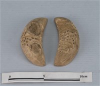 藏品(筊杯)的圖片