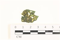 藏品(袋苔, 囊藻)的圖片