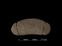 藏品(網墜)的圖片