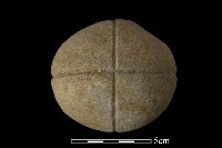 藏品(網墜)的圖片