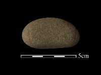 藏品(網墜)的圖片