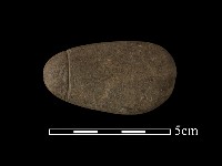 藏品(網墜)的圖片