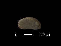 藏品(網墜)的圖片