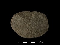 藏品(石片器)的圖片