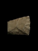 藏品(錛鑿形器)的圖片