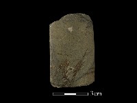 藏品(錛鑿形器)的圖片