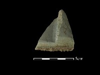 藏品(帶加工痕玉材)的圖片