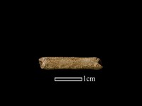 藏品(管珠)的圖片