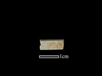 藏品(管珠)的圖片