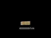 藏品(管珠)的圖片