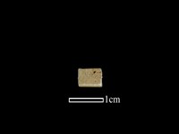 藏品(管珠)的圖片