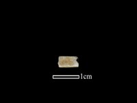 藏品(管珠)的圖片