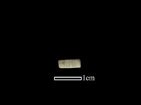 藏品(管珠)的圖片