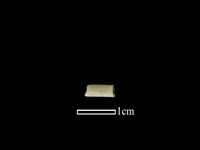 藏品(管珠)的圖片