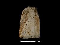 藏品(錛鑿形器)的圖片