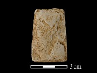 藏品(錛鑿形器)的圖片