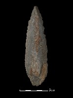 藏品(矛鏃形器)的圖片