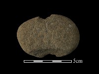 藏品(網墜)的圖片