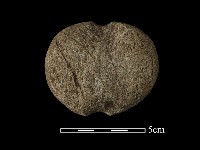 藏品(網墜)的圖片