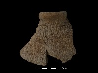 藏品(陶罐)的圖片