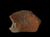 藏品(陶罐)的圖片