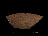 藏品(陶罐)的圖片