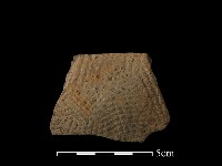 藏品(陶片)的圖片