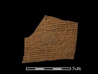 藏品(陶片)的圖片